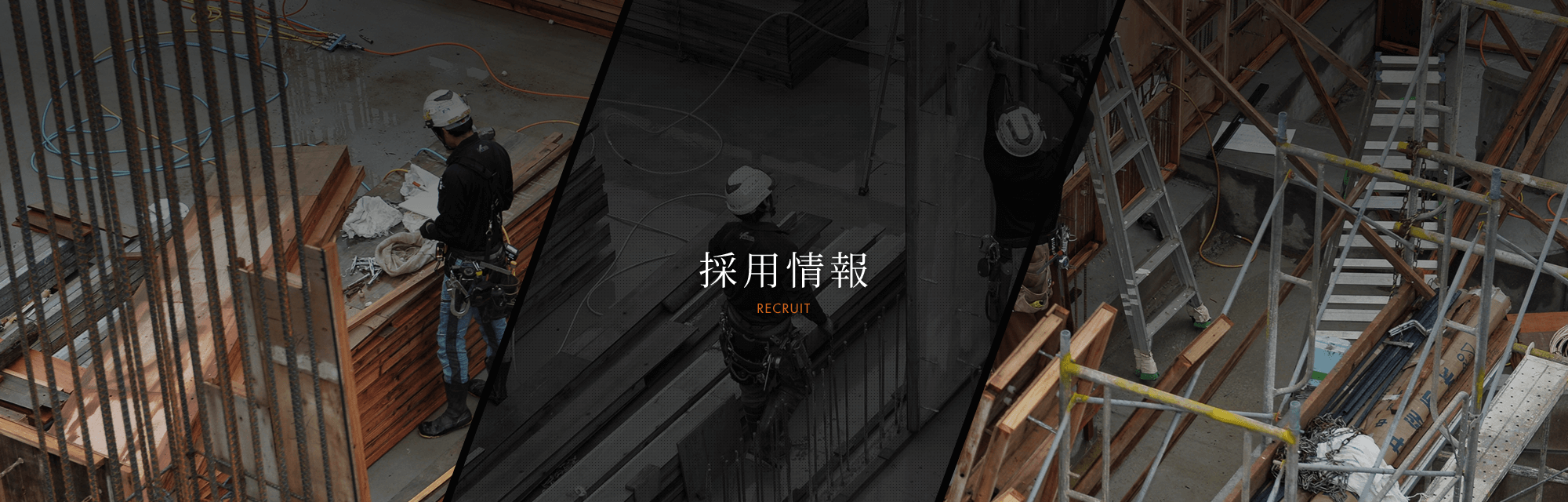 採用情報